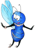 Blue Fly