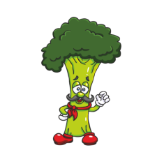 Brassica Broccoli